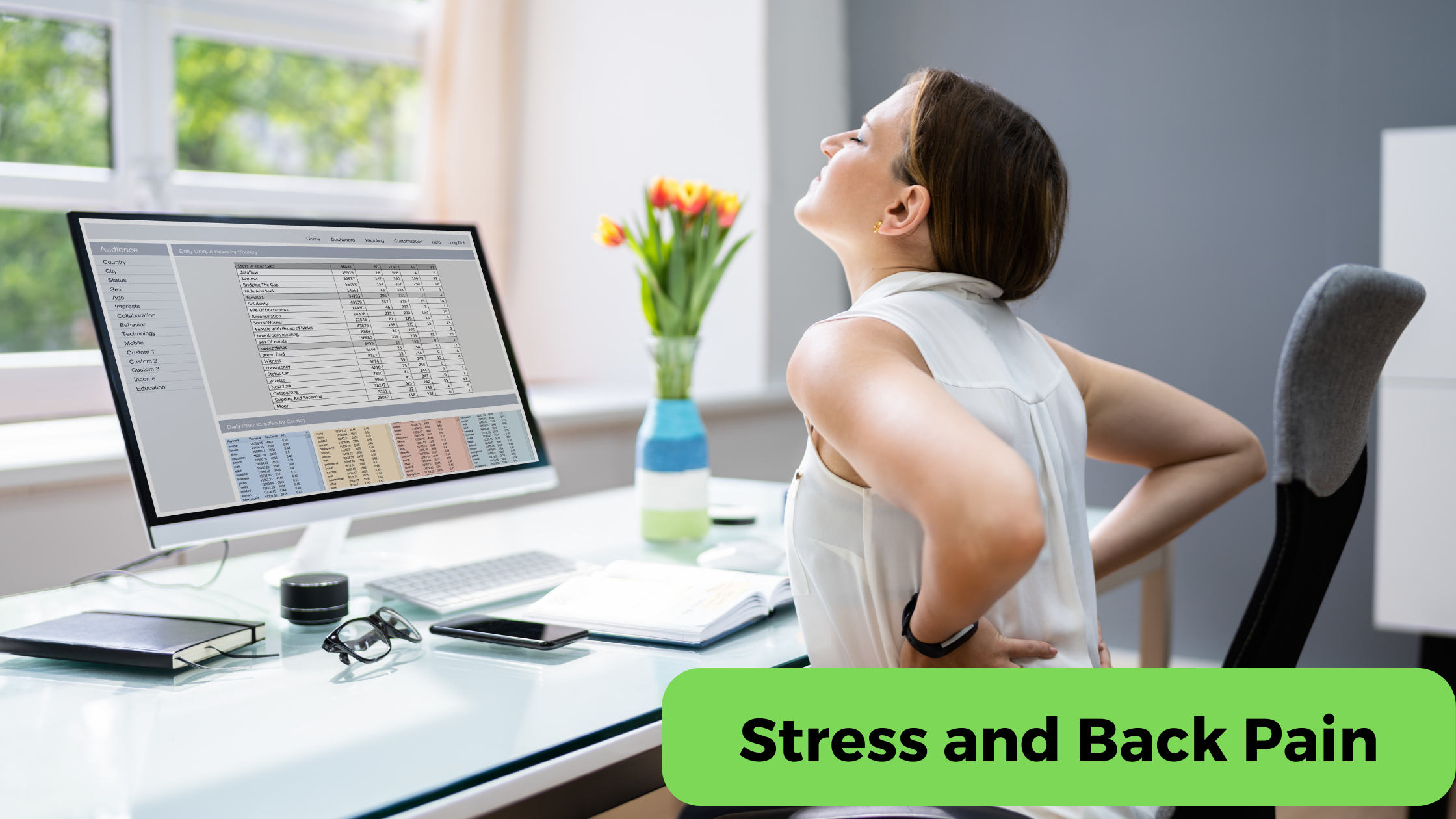 The Correlation of Stress and Back Pain