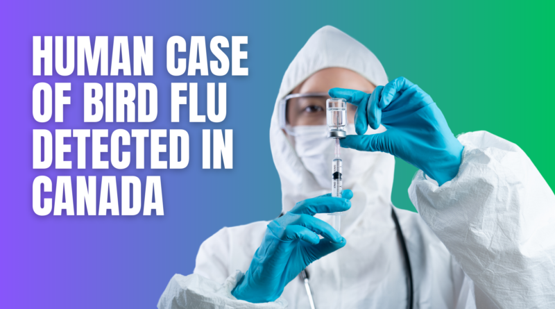 Human Case of Bird Flu Detected in Canada: What You Need to Know